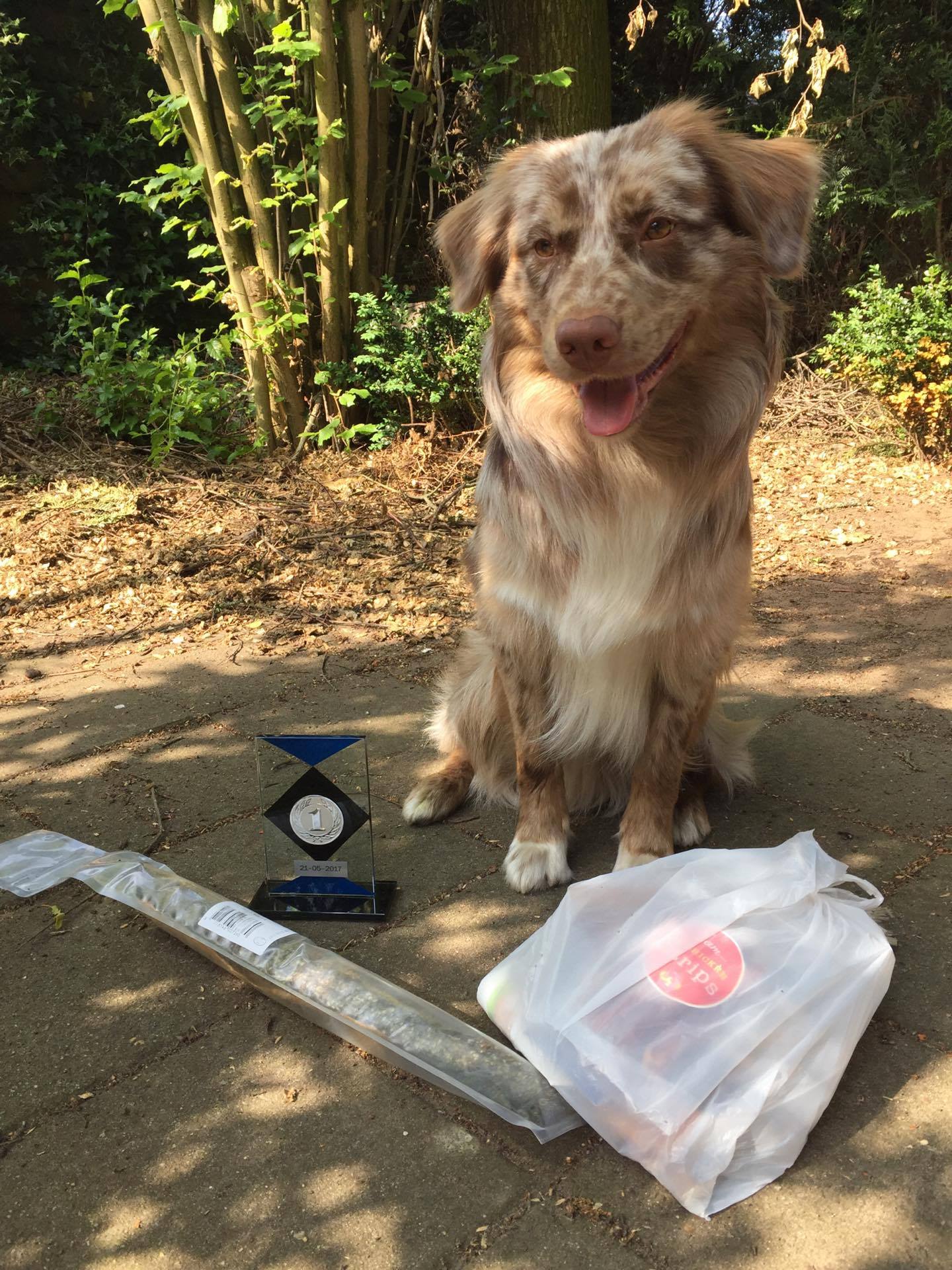 18641869_1450863921642653_490055495_o