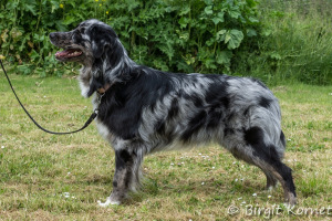 DSC00810-BorderMaker