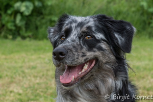 DSC00820-BorderMaker