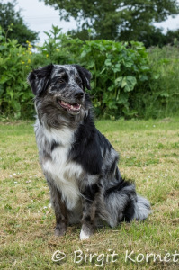 DSC00838-BorderMaker