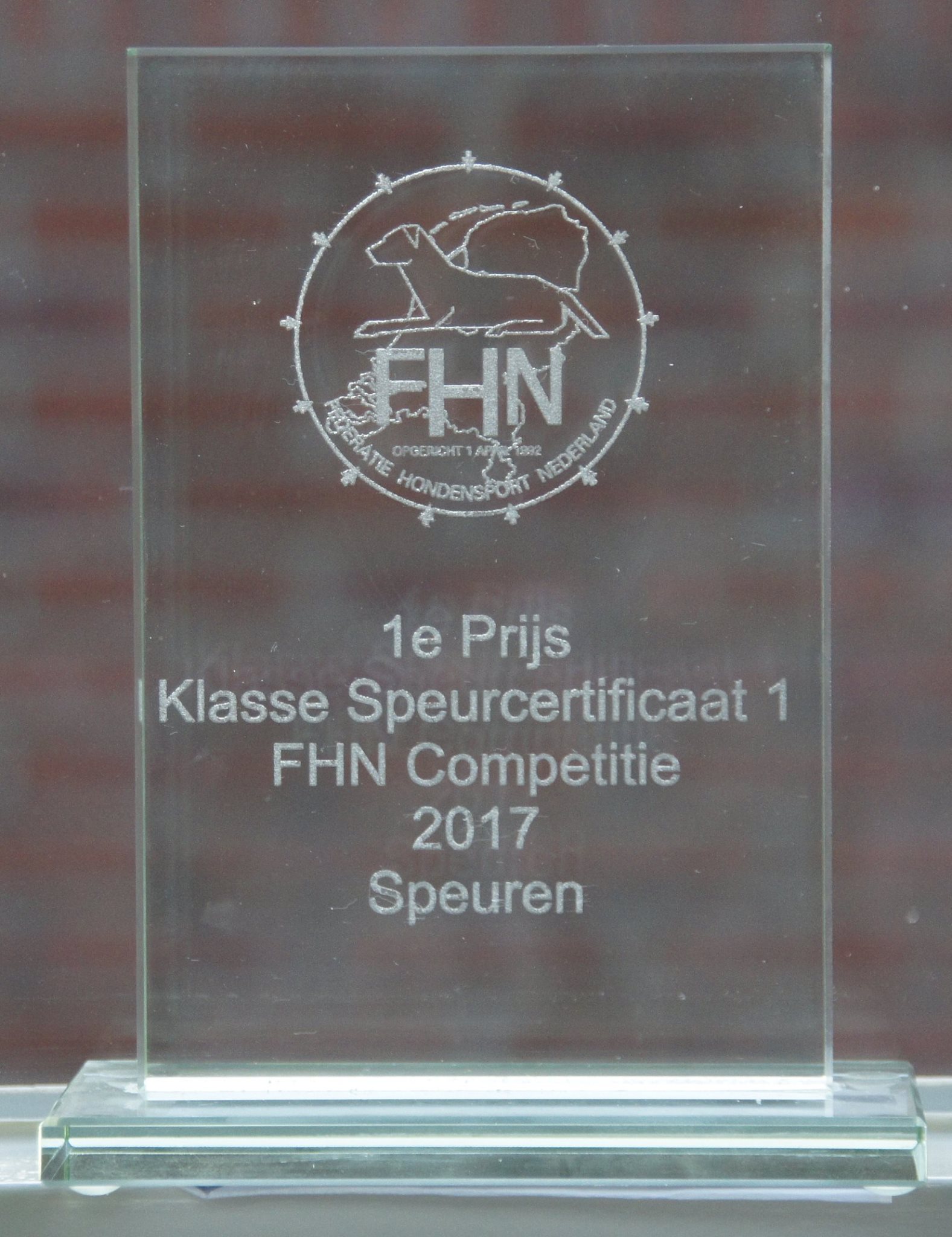 23213438_1399578843502533_3417586773434933414_o