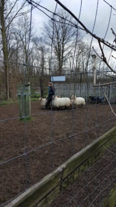 26132810_1561948013889962_1315714731_o