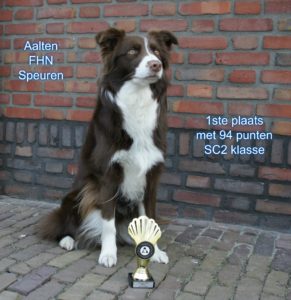 28954195_1544530899007326_5236193913919396725_o