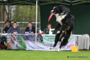 30052451_1912741142124309_1816777940889409644_o