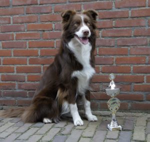 30821490_1672973596120736_7005521371543029171_o