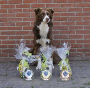 32207232_1594223394038076_7185859531820236800_o