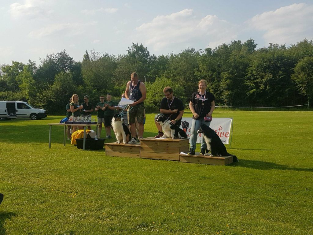 33734875_1713225445428884_3345820038010503168_n