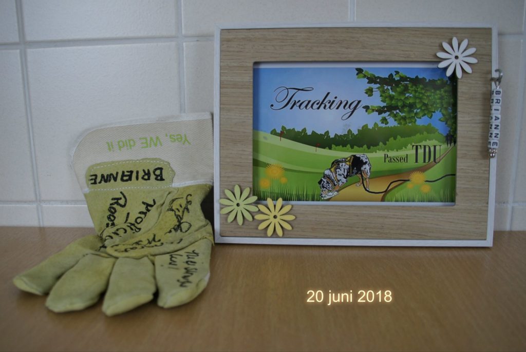 35654383_1640126486114433_6825481947137966080_o