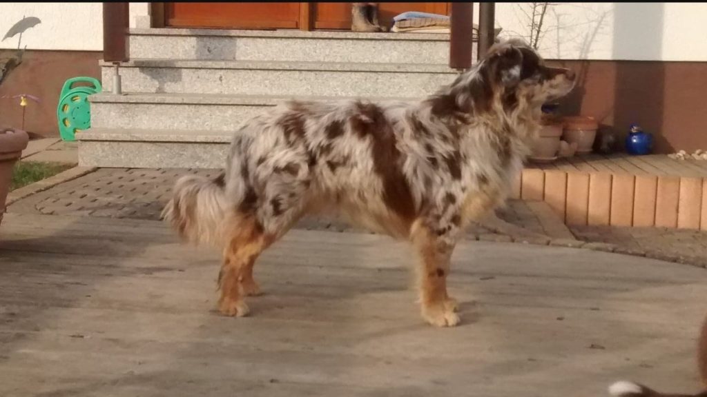 42424626_989303517925978_6900100625879531520_n