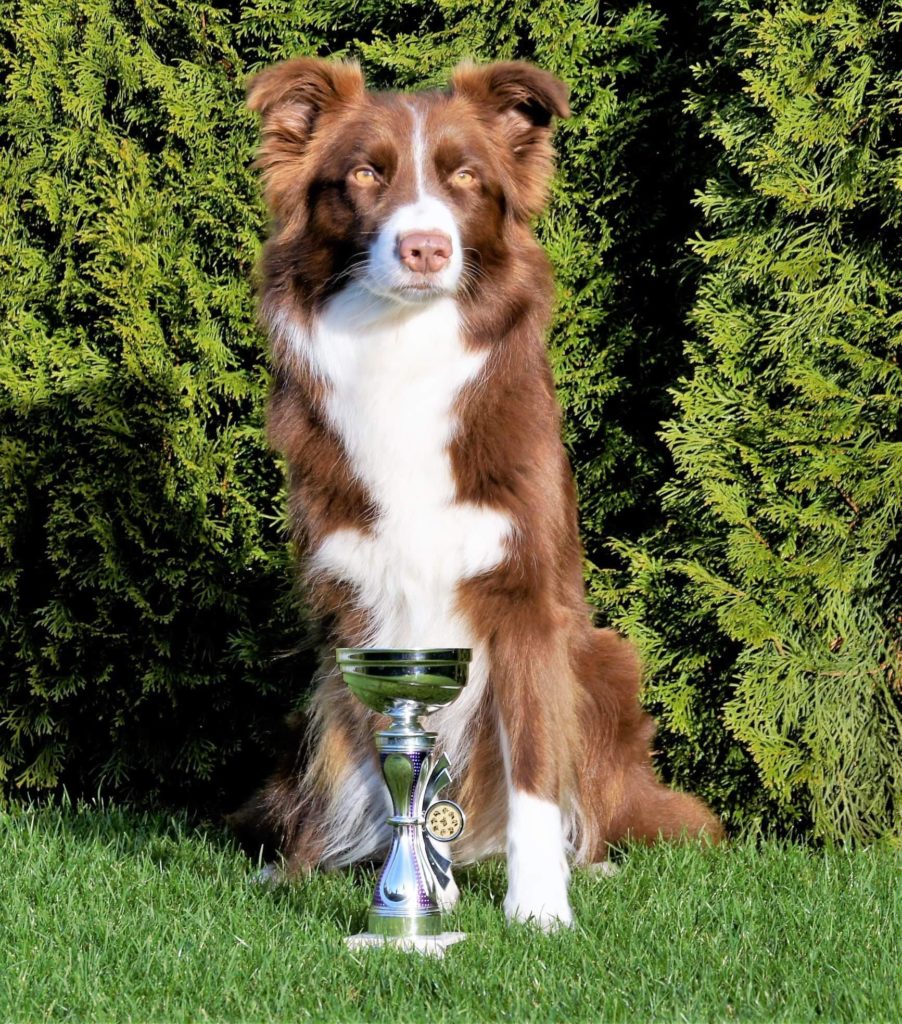 48372480_1655836491229027_9124888617146122240_n