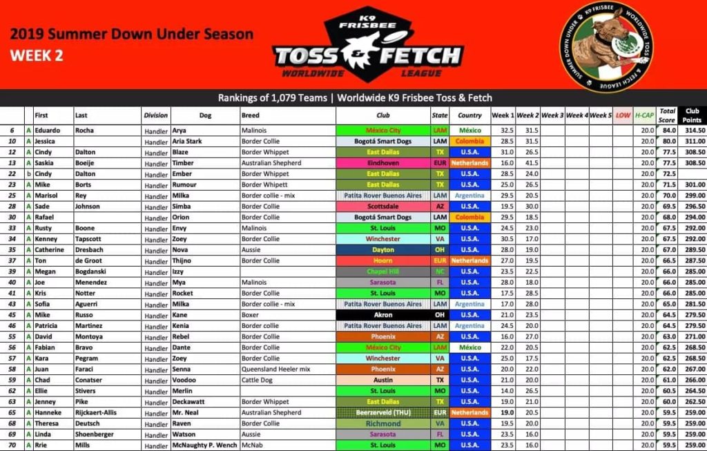 52599320_2263031570628004_166909760631734272_n