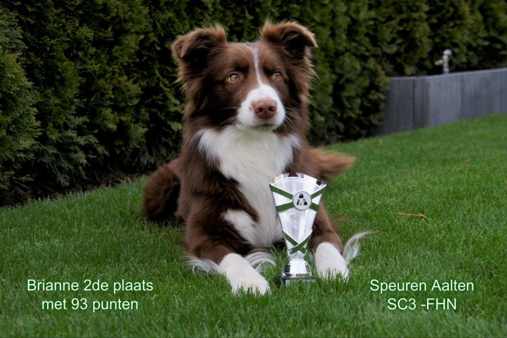 FB_IMG_1553967476827