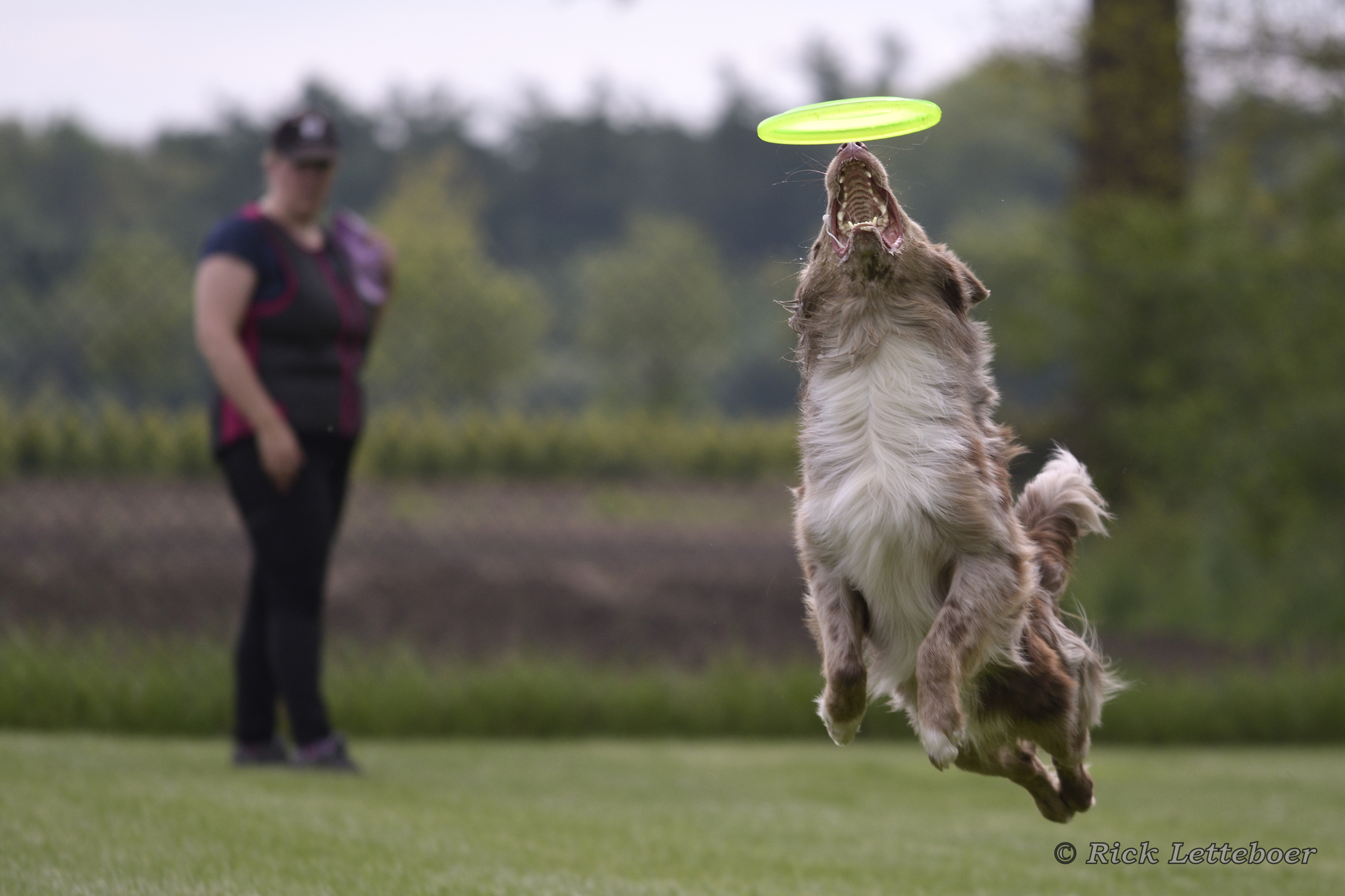 _REL2326_00003 © Rick Letteboer