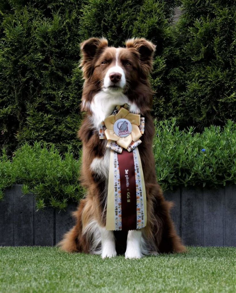 received_1554031634722068