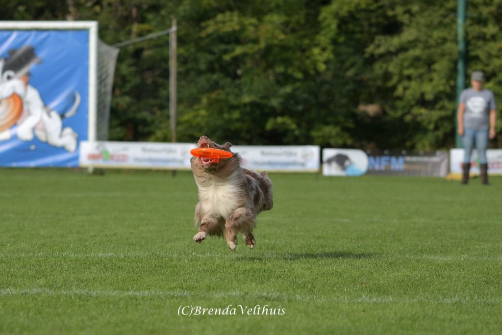 received_2501762673391524