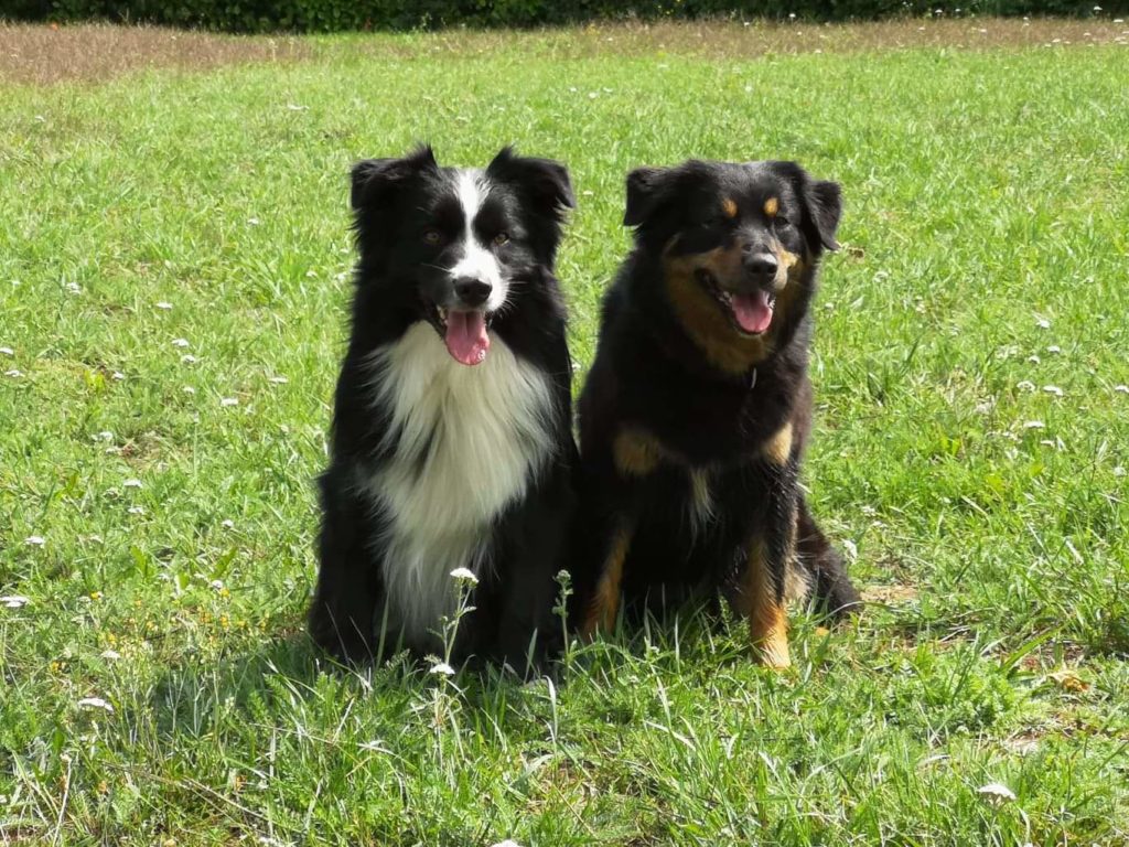 received_899899573691935